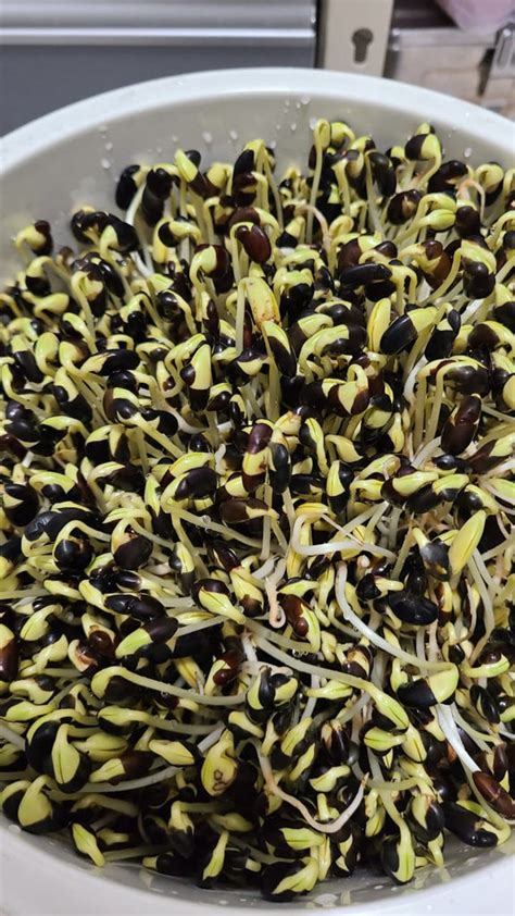 EgRúm Picks – Page 3