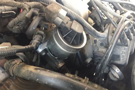 egr. 的图像结果