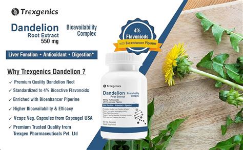 Buy Trexgenics DANDELION (Bioactive 4% Flavonoids) 550mg EXTRACT Liver ...