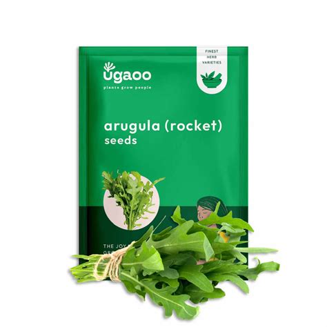 Buy Premium Herb Seeds Online in India- Grow Fresh Herbs at Home – Ugaoo