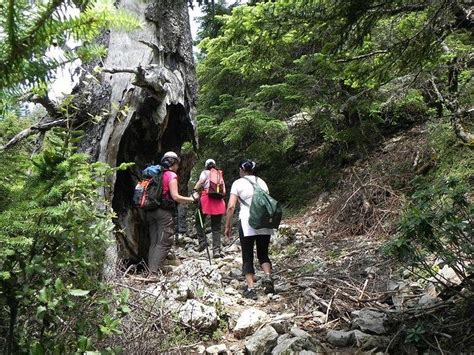 GITE TALASSEMTANE (Chefchaouen) - Guesthouse Reviews & Photos - Tripadvisor