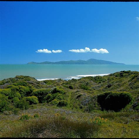 QUEEN ELIZABETH PARK (2026) All You Need to Know BEFORE You Go (with ...