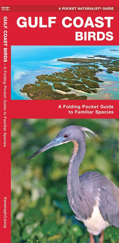 Gulf Coast Birds: A Folding Pocket Guide to Familiar Species (Pocket ...