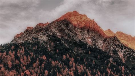 Download wallpaper 1366x768 mountain, forest, peak, clouds, zillertal ...