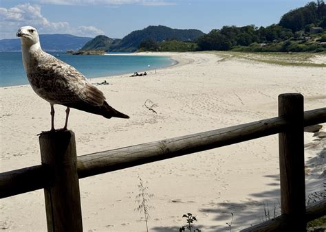 The Spanish Isles That Are Quietly A National Park