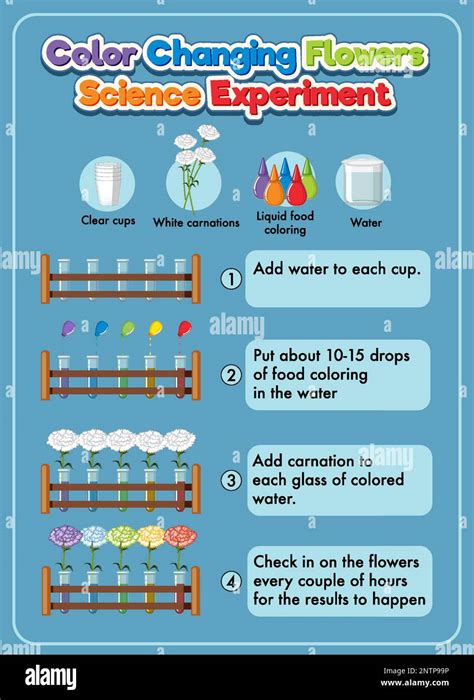 Image result for Color Changing Experiment