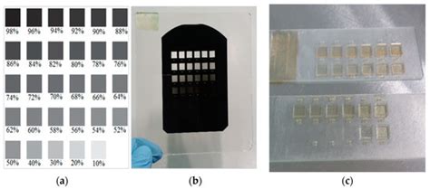 Implementation of a Single Emulsion Mask for Three-Dimensional (3D ...