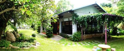 LIPING ORGANIC TEA FARM HOMESTAY (Luye) - Hostel Reviews, Photos, Rate ...