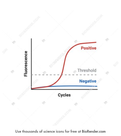 Real-Time PCR Graph 的图像结果