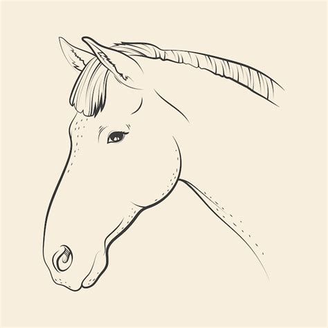 Horse head svg Images - Free Download on Freepik