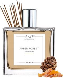 Buy Em5 Amber Forest Perfume for Men | Amber Woody Warm Spicy Smoky ...