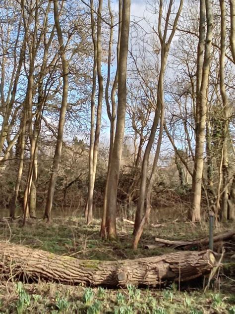 TLSM Spring Equinox Weekend, Dartmoor, Devon, UK., Newton Abbot, 15 ...