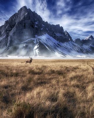 Download wallpaper field, mountains, deer, section landscapes in ...