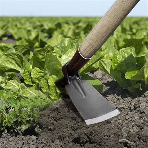 Cetilox Outdoor Weeding Hoe, Manganese Steel Stirrup Hoe Without Handle ...