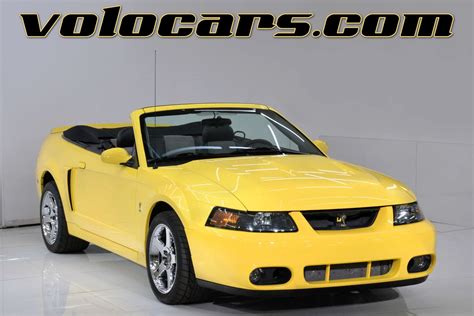 Terminator 2003 的图像结果