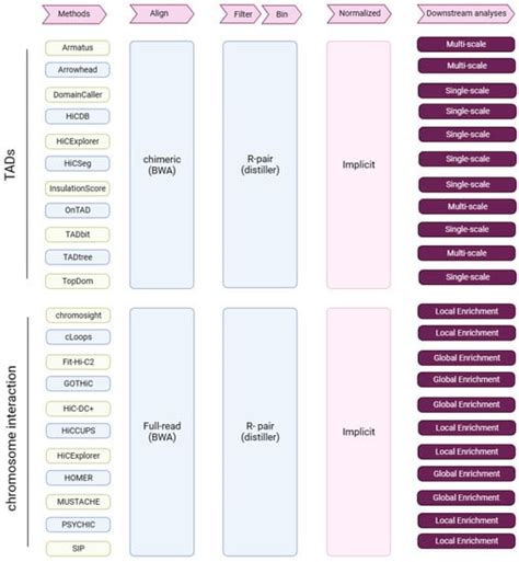 Revisiting Assessment of Computational Methods for Hi-C Data Analysis