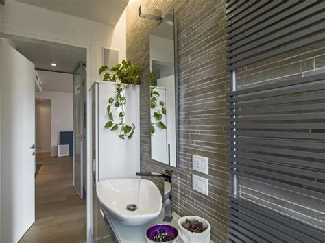 Perennial Mold Fighters The Best Plants For Your Bathroom Under The Sink Ideas