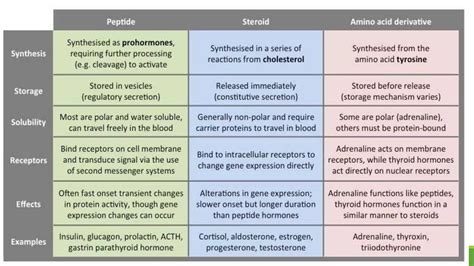 classification of hormones.pptx