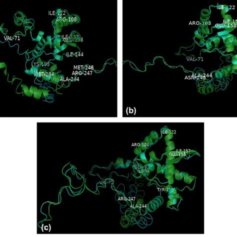 PyMOL Structure Alignment 的图像结果