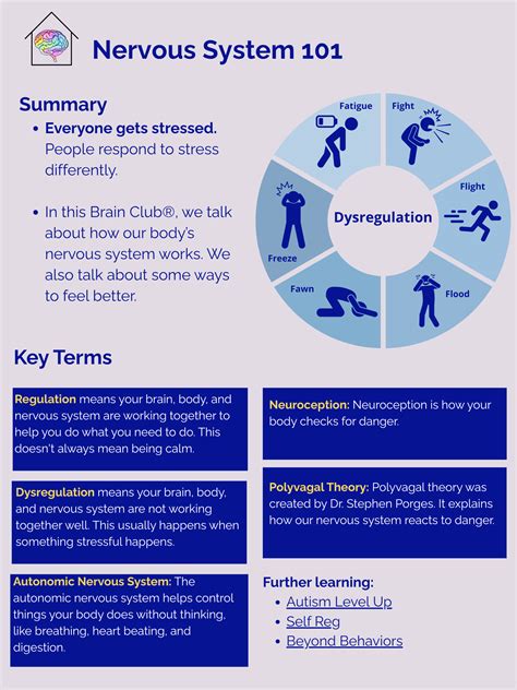 Nervous System 101 - All Brains Belong VT