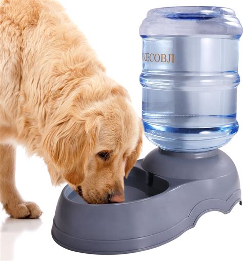 Pet Supplies : NKECOBJI Automatic Pet Waterer,11L Gravity Water ...