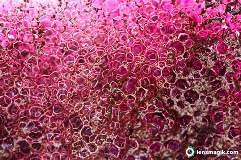 Science Experiments KMNO4 And H2O2 | Lensmagik.com