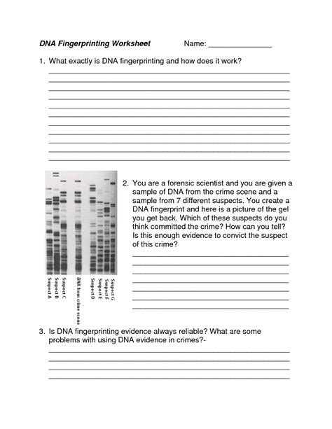 Image result for DNA Fingerprinting Lab Worksheet Printable