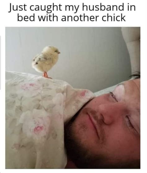 Chick Explodes 的图像结果