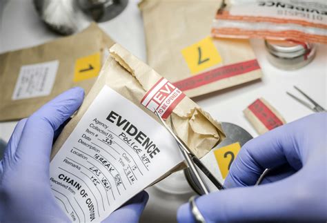 Forensic DNA 的图像结果