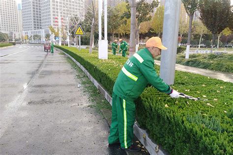 室外绿化养护 - 园区绿化养护 - 绿化养护 - 产品中心 - 深圳市天堡园林有限公司