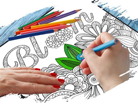 Nature Colouring Book for Adults - Traditional, Floral, Geometric ...