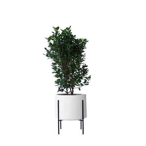 Buy Whirlpool Planter With Metal Stands Online in India | Palasa
