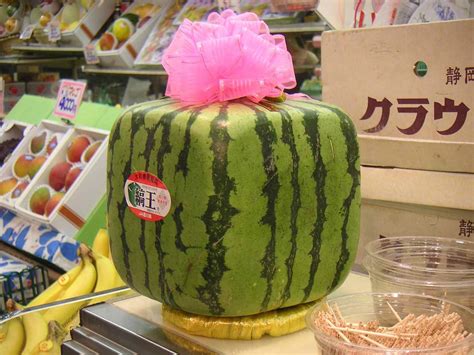Square Watermelons in Japan - FOODICLES
