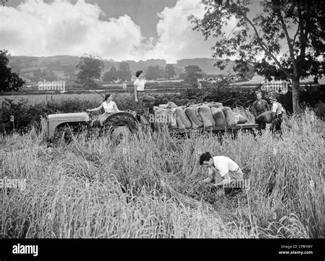 Vintage Farm Workers
