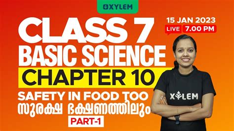Image result for Xylem Class 7 Basic Science