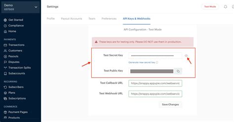 Image result for Paystack Test Receipt
