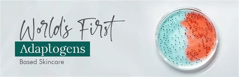 Buy Best Skin Care Derma Cult Products Online In India | O3+ Dermacult