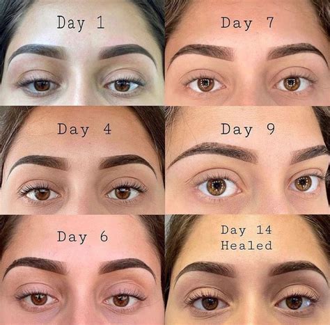Image result for Microblading Healing