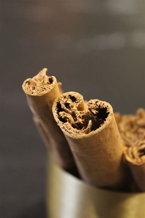 Ceylon Cinnamon Quills – Hathkut Spices