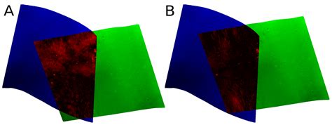 AUV Navigation Correction Based on Automated Multibeam Tile Matching