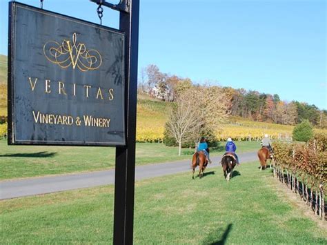 Keswick Photos - Featured Images of Keswick, VA - Tripadvisor