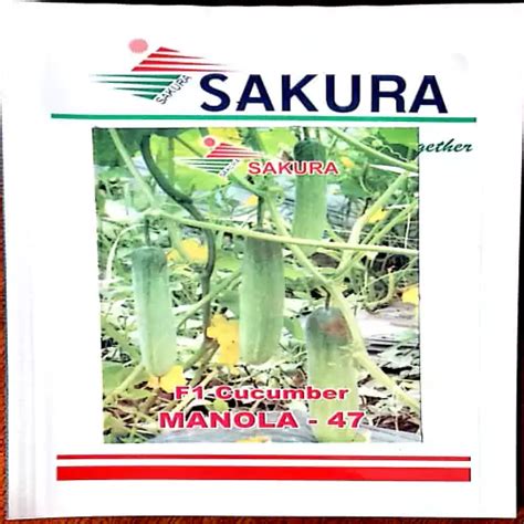 Home | Shine Brand Seeds | http://shinebrandseeds.com/