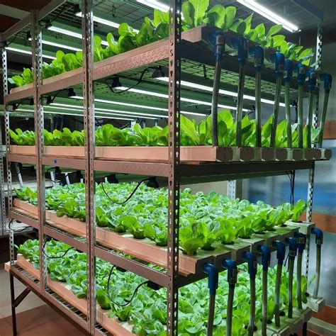 Build a NFT Hydroponic System Using 50Mm PVC 的图像结果