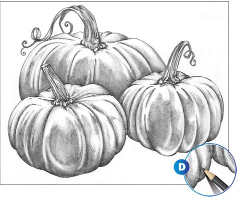 Pumpkin Patch Drawing at PaintingValley.com | Explore collection of ...