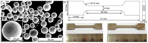 Influence of Aging Treatment Regimes on Microstructure and Mechanical ...
