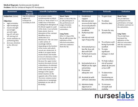 Nursing Care Plan Template