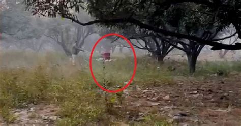 মুখ্যমন্ত্রী বাড়ির কাছে তাজা বোমা উদ্ধার, এলাকা সিল করল পুলিশ