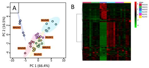 Lipidomics Analysis of Tea Leaves Cultured in Hydroponics Reveals That ...