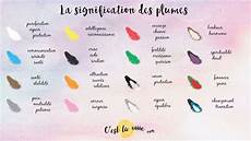 signification des plumes signes plumes signification anges spiritualit 233 signification des plumes signes plumes signification anges spiritualit 233