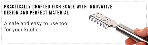 Buy iDream® Stainless Steel Fish Scale Remover Scale Cleaner (1) Online ...